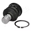 Rotule de suspension ASHIKA 73-03-326 - Visuel 1