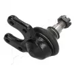 Rotule de suspension ASHIKA 73-03-329 - Visuel 3