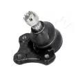 Rotule de suspension ASHIKA 73-03-336 - Visuel 1