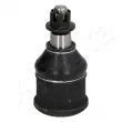Rotule de suspension ASHIKA 73-04-402 - Visuel 1