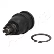 Rotule de suspension ASHIKA 73-04-407 - Visuel 1