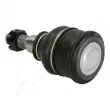 Rotule de suspension ASHIKA 73-04-408 - Visuel 2