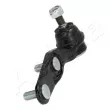 Rotule de suspension avant droit ASHIKA 73-04-429R - Visuel 2