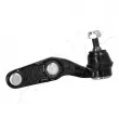 Rotule de suspension avant droit ASHIKA 73-04-429R - Visuel 3