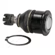 Rotule de suspension ASHIKA 73-04-499 - Visuel 2