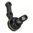 Rotule de suspension ASHIKA 73-05-501 - Visuel 3