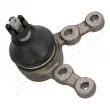 Rotule de suspension ASHIKA 73-05-516 - Visuel 1