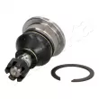 Rotule de suspension ASHIKA 73-05-520 - Visuel 1