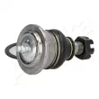 Rotule de suspension ASHIKA 73-05-520 - Visuel 3