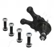Rotule de suspension avant droit ASHIKA 73-05-523R - Visuel 1
