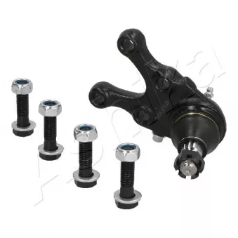 Rotule de suspension avant droit ASHIKA