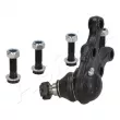 Rotule de suspension avant droit ASHIKA 73-05-523R - Visuel 2