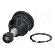 Rotule de suspension ASHIKA 73-05-524 - Visuel 1