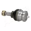 Rotule de suspension ASHIKA 73-07-798 - Visuel 2