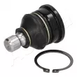 Rotule de suspension ASHIKA 73-08-800 - Visuel 1