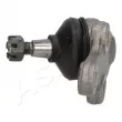 Rotule de suspension ASHIKA 73-08-801 - Visuel 2
