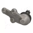Rotule de suspension ASHIKA 73-08-801 - Visuel 3