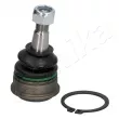 Rotule de suspension ASHIKA 73-08-803 - Visuel 1