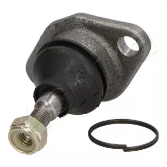 Rotule de suspension ASHIKA 73-09-903