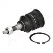 Rotule de suspension ASHIKA 73-09-907 - Visuel 1