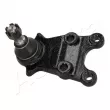 Rotule de suspension ASHIKA 73-09-911 - Visuel 1