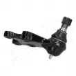 Rotule de suspension ASHIKA 73-09-911 - Visuel 3