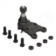 Rotule de suspension ASHIKA 73-09-913 - Visuel 1
