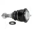 Rotule de suspension ASHIKA 73-09-916 - Visuel 2