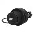 Rotule de suspension ASHIKA 73-09-919 - Visuel 3