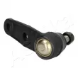 Rotule de suspension ASHIKA 73-0C-C02 - Visuel 3