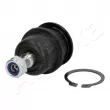 Rotule de suspension ASHIKA 73-0H-H07 - Visuel 1