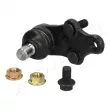 Rotule de suspension ASHIKA 73-0H-H16 - Visuel 1