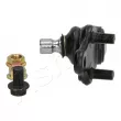Rotule de suspension ASHIKA 73-0H-H16 - Visuel 2