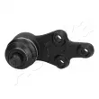 Rotule de suspension ASHIKA 73-0H-H19 - Visuel 1