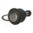 Rotule de suspension ASHIKA 73-0H-H69 - Visuel 3
