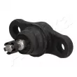 Rotule de suspension ASHIKA 73-0K-K01 - Visuel 1