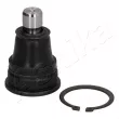 Rotule de suspension ASHIKA 73-0K-K03 - Visuel 1