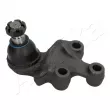 Rotule de suspension ASHIKA 73-0K-K05 - Visuel 1