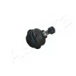 Rotule de suspension ASHIKA 73-0K-K07 - Visuel 1