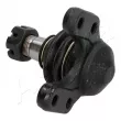 Rotule de suspension ASHIKA 73-0K-K09 - Visuel 2