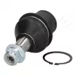 Rotule de suspension ASHIKA 73-0L-L04 - Visuel 1