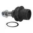 Rotule de suspension ASHIKA 73-0L-L04 - Visuel 2