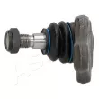 Rotule de suspension ASHIKA 73-0L-L05 - Visuel 2