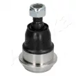Rotule de suspension ASHIKA 73-0W-W01 - Visuel 1