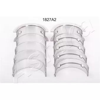 Kit de coussinet de vilebrequin ASHIKA