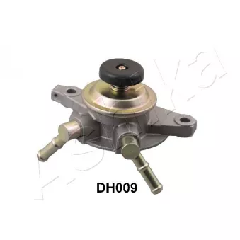 Système d'injection ASHIKA 99-DH009