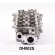 Culasse de cylindre ASHIKA DH002S - Visuel 3