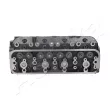 Culasse de cylindre ASHIKA DH005S - Visuel 3