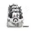Culasse de cylindre ASHIKA DW001 - Visuel 2