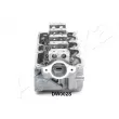 Culasse de cylindre ASHIKA DW002S - Visuel 3